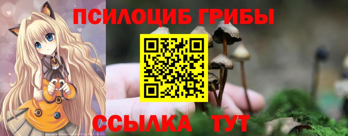 Псков  Галлюциногенные грибы мицелий  Вход с VPN  Галлюциногенные грибы мухоморы 